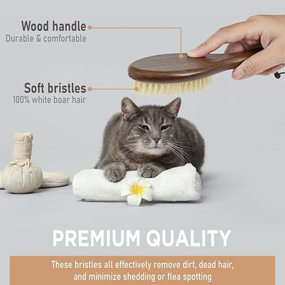 Takavu Natural White Boar Bristle Cat Brush - Gentle Grooming Tool for Sensitive Skin, Smoothing Fur &amp; Healthy Shine - Soft Pet Brush