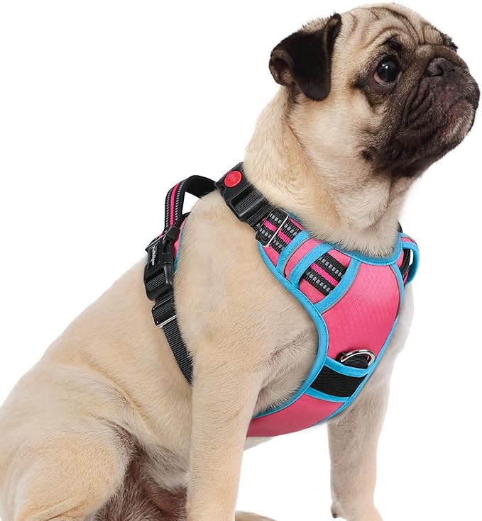 rabbitgoo Dog Harness Small Sized, No Pull Dog Vest with 3 Buckles, Adjustable Soft Padded Pet Harness with Easy Control Handle and Reflective Strips, Rose Pink &amp; Blue, S