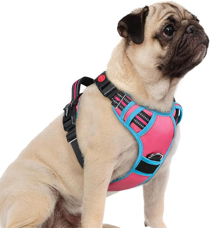 rabbitgoo Dog Harness Small Sized, No Pull Dog Vest with 3 Buckles, Adjustable Soft Padded Pet Harness with Easy Control Handle and Reflective Strips, Rose Pink &amp; Blue, S