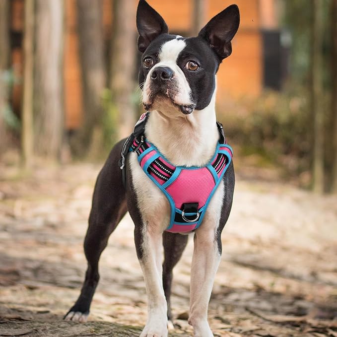 rabbitgoo Dog Harness Small Sized, No Pull Dog Vest with 3 Buckles, Adjustable Soft Padded Pet Harness with Easy Control Handle and Reflective Strips, Rose Pink &amp; Blue, S