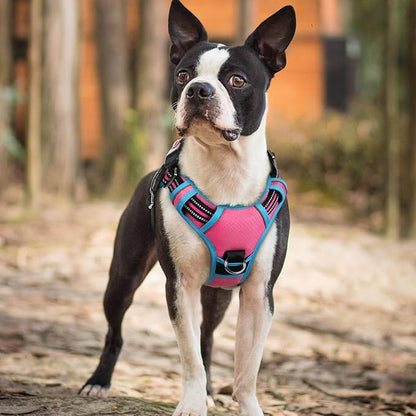 rabbitgoo Dog Harness Small Sized, No Pull Dog Vest with 3 Buckles, Adjustable Soft Padded Pet Harness with Easy Control Handle and Reflective Strips, Rose Pink &amp; Blue, S