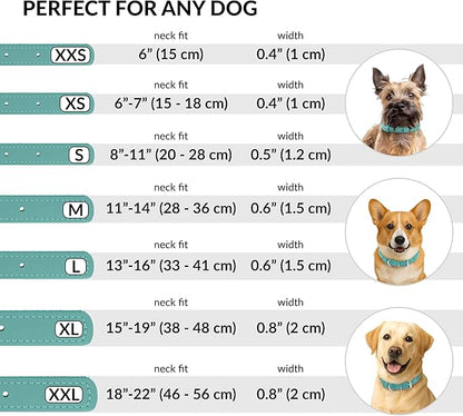 CollarDirect Rolled Leather Dog Collar, Soft Padded Round Puppy Collar, Handmade Genuine Leather Collar Dog Small Large Cat Collars 13 Colors (11-14 Inch, Mint Green Textured)