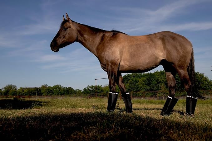 Warrior Fly Boots for Horses - Breathable Mesh Horse Boots for Fly Protection &amp; Leg Comfort - Set of 4 (Knight Warrior, Neon Pink)