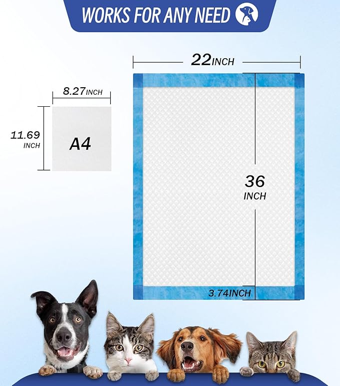 Large Puppy Pee Pads 22x36 Inch 100-Pack | Extra Absorbent Potty Training Pads for Dogs | Leakproof Quick-Dry &amp; Odor Blocking Pet Housebreaking Supplies