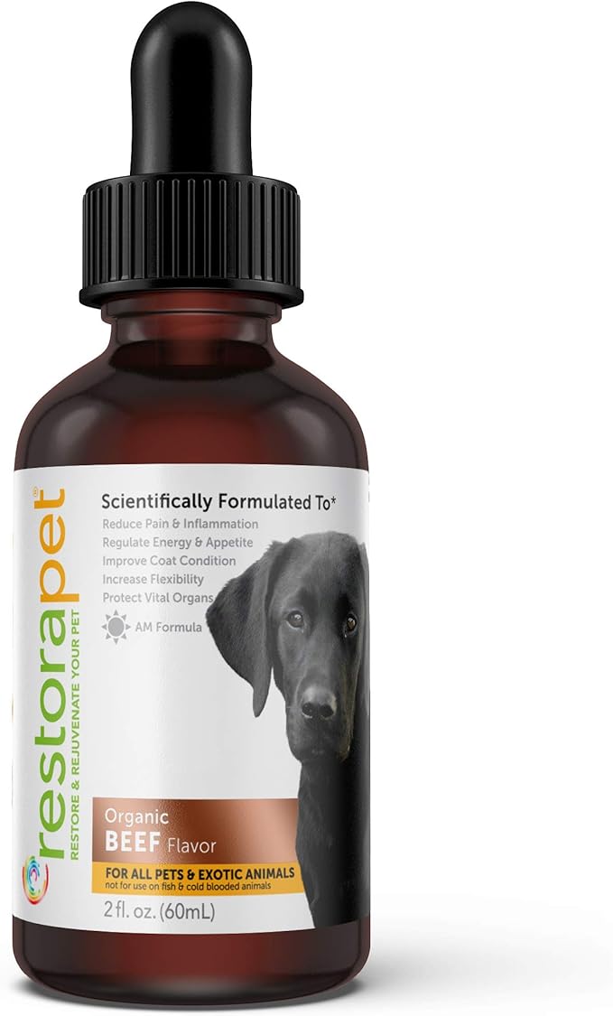 RestoraPet 1-Pack Dog &amp; Cat Beef Liquid Multivitamin | Dog Arthritis Pain Relief | Hip &amp; Joint Vitamins for Dogs - Anti Inflammatory Supplement for Dogs &amp; Cats | Organic &amp; Non-GMO, Vet Approved