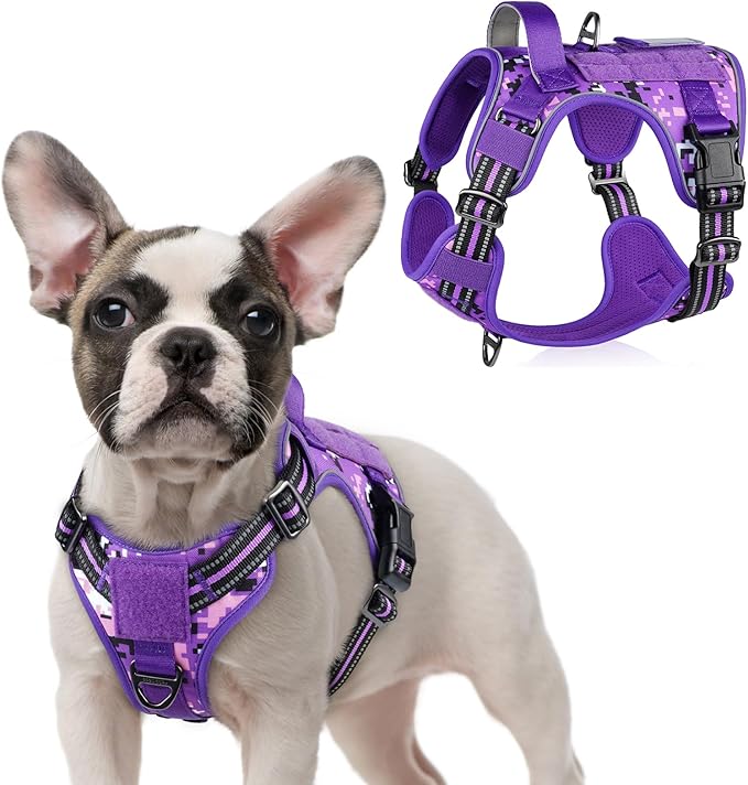 rabbitgoo Tactical Dog Harness for Small Dogs, No Pull Military Service Vest with Handle &amp; Molle, Easy Control for Training Walking, Adjustable Reflective Straps, Purple Camo, S