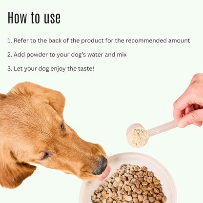 K9 Power Go Dog Hydration &amp; Performance Drink Mix 1 lb - Active Dog Supplement for Muscle Function, Endurance, Recovery, with Electrolytes Support - Pack of 2