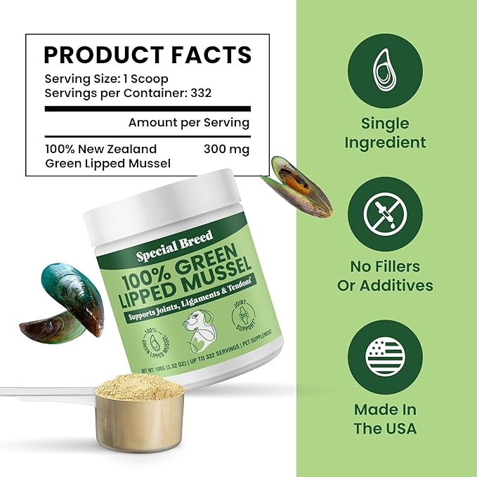Special Breed Green Lipped Mussel Powder for Dogs &amp; Cats - 100% New Zealand - Natural Hip &amp; Joint Supplement for Joints, Tendons, Ligaments, Muscles - 100 Grams - Up to 332 Servings