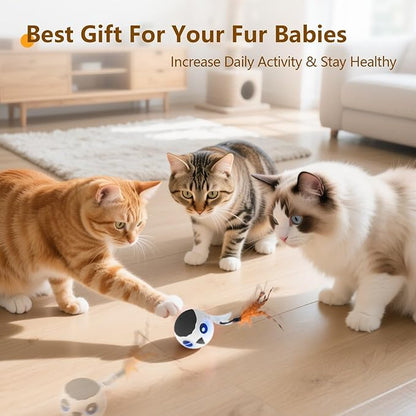ORSDA Cat Ball Toys, Interactive Cat Toy for Indoor Bored Indoor Cats Kitten Toys, Automatic Electric Bird Moving Ball Toy, 4 Mode Voice &amp; Touch Control Rolling Chirping Stimulating, 2 Feather Tails