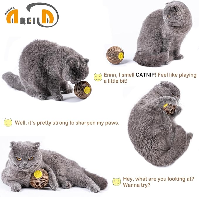 AREIIA Catnip Ball Toy for Cats Catnip Refillable Scratcher Ball Kitty&