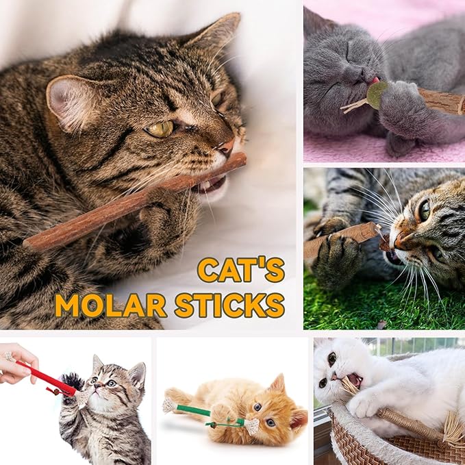 Cat Toys Cat Chew Toys, Silvervine Sticks Catnip Rope Toys for Cats Teeth Cleaning, Kitten Dental Care, Kitty for Indoor Cats Increase Appetite,Enhances Oral &amp; Dental Health (20 Pack)