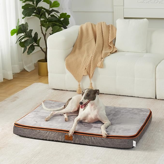 Memory Foam Large Dog Bed - 4” Thick Orthopedic Beds for Large Dogs - Waterproof Dog Bed with Removable Washable Cover &amp; Wrap-Around Zipper - Ultimate Comfort and Easy Maintenance