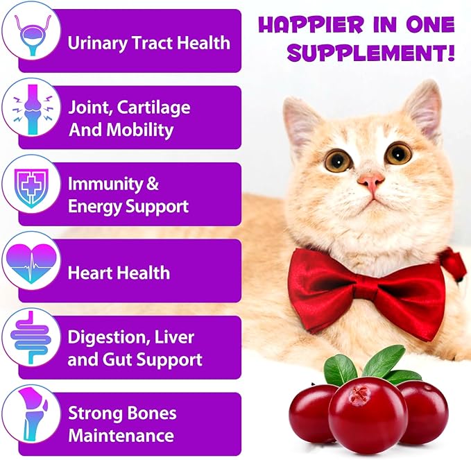 Cat Multivitamin,15 in 1 Cat Vitamins Liquid Drops Supplements for Heart Health, Bones, Joint, Skin &amp; Coat, Bladder, Immune System Support 60ml-2pcs