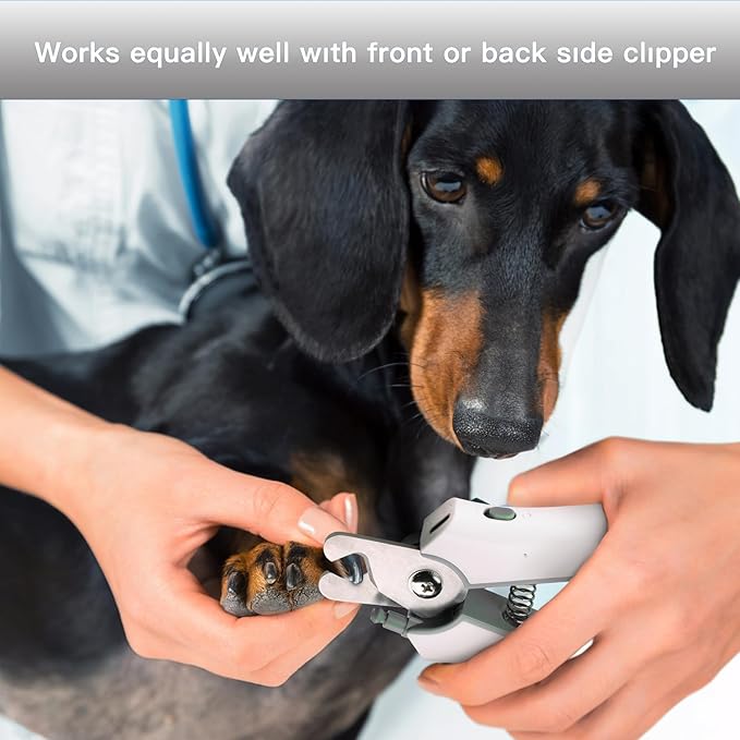 Type-C Rechargeable Dog &amp; Cat Nail Clippers - LED Pet Nail Trimmer with Built-in Nail File, Extra Sharp Blades for Small &amp; Medium Dogs, Indoor Cats (White-Gray)