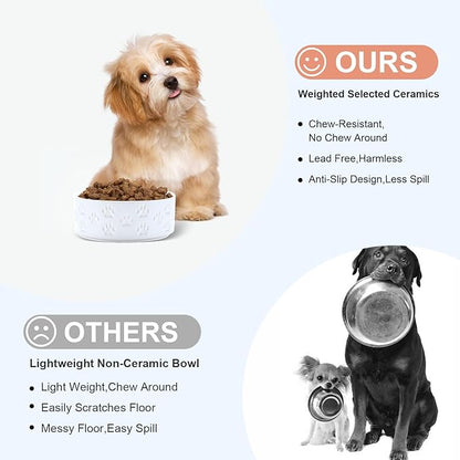 SPUNKYJUNKY Ceramic Dog and Cat Bowls 2 Pack, 5.1&