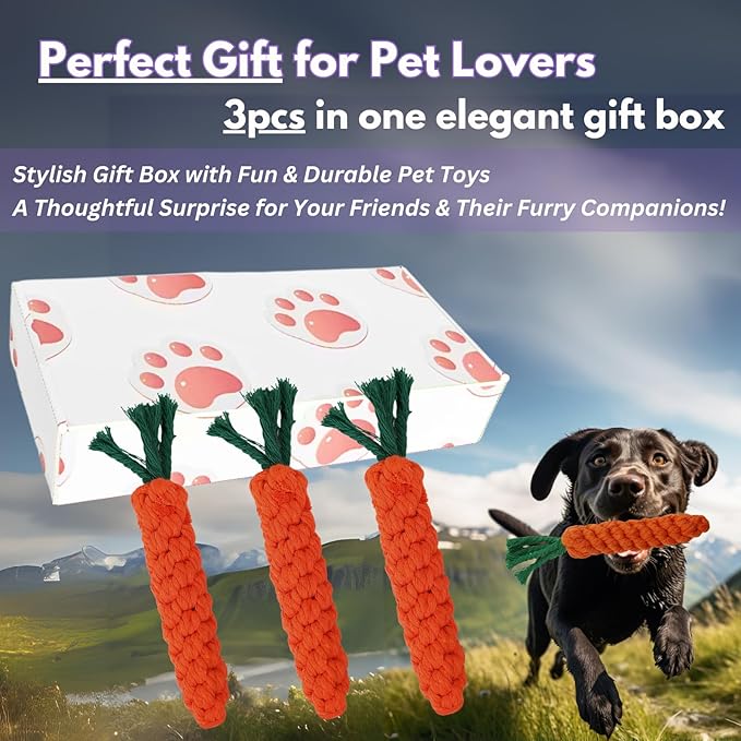 3PCS Orange Woven Pet Chew Set, Puppy Teething Chews, Dog Chew Treats, Cat Teething Playset, Safe Braided Chews for Pets, Durable &amp; Interactive