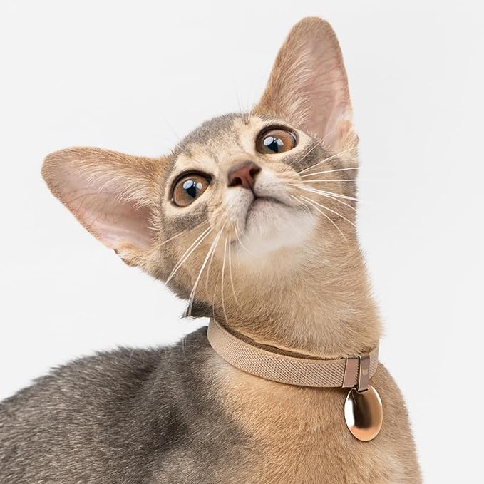 Safety Cat Collar - U.S. IDA Gold Awarding Design, Elastic Quick Release, Non Breakaway - Lightweight for Kitten, Neck Fit 5.9&