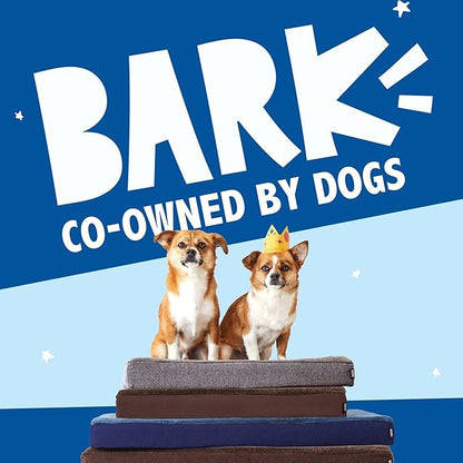 Barkbox Orthopedic Dog Bed with Memory Foam, Premium Comfort for Dogs and Puppies, Dog Beds for Joint Relief and Restful Sleep, Durable and Easy to Clean - Grey, Medium