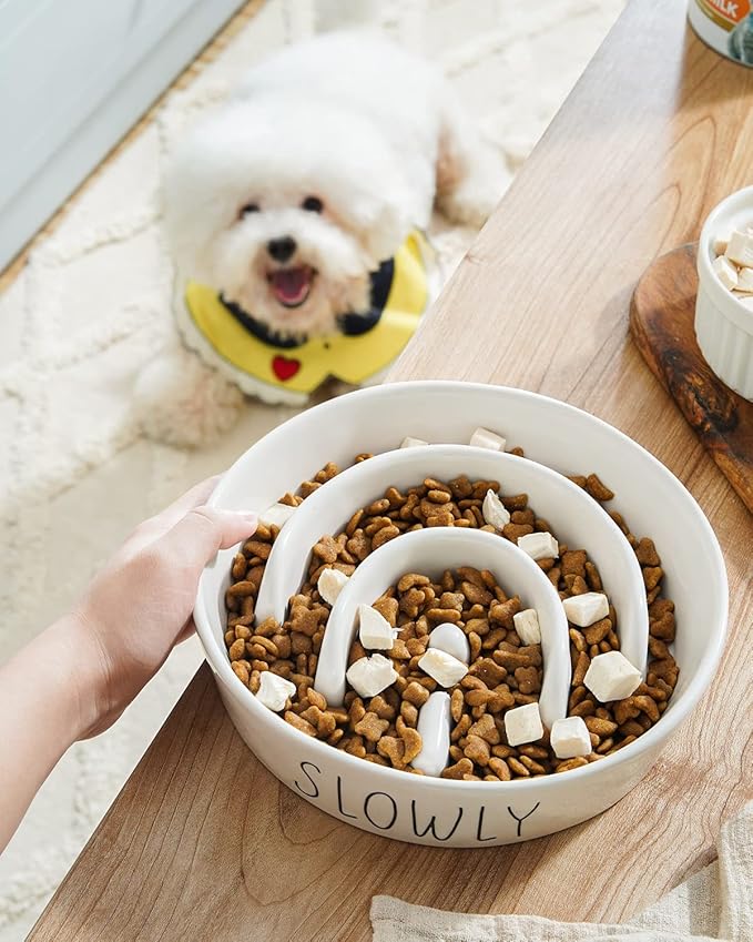 Slow Feeder Dog Bowl - 1.5 Cups Ceramic Puzzle Feeder for Small &amp; Medium Breeds, Maze Design Bowl for Puppy &amp; Fast Eaters, White Pet Dish to Control Eating Speed