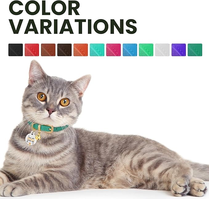 BRONZEDOG Leather Cat Collar with Removable Bells Non Breakaway Kitten QR Tag for Girl Boy (9" - 12" Cats/Mini Dogs, Blue &amp; Silver)