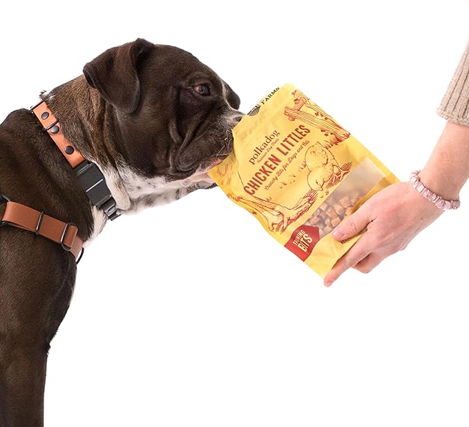 Polkadog Chicken Littles Crunchy Training Bits – All Natural, Limited Ingredient Healthy Training Treats for Dogs. Handcrafted &amp; Made in USA. Great for Dogs with Allergies or Sensitive Stomachs – 7oz