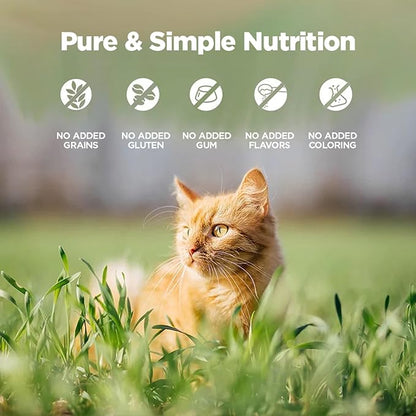 ZEAL New Zealand Wet Cat Food – High Protein, Grain-Free with Superfoods (Beef, 6oz Can, 12-Pack)