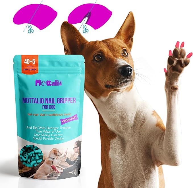 Nail Grippers for Dogs - Dog Anti Slip, Toe Grippers for Senior Dogs, Stop Sliding on Hardfloor, Two Ways of Use, Dog Paw Protector, Increase Traction, Reduce Pain &amp; Struggle (45PCS/Pack)