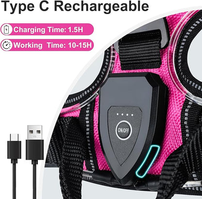 Taglory Light Up Dog Harness, Rechargeable No Pull Dog Vest with 3 Lightning Modes, Reflective Dog Harness with 2 Leash Clips &amp; 4 Adjustable Slide Strips for Medium Dogs, Hotpink-Hotpink, M