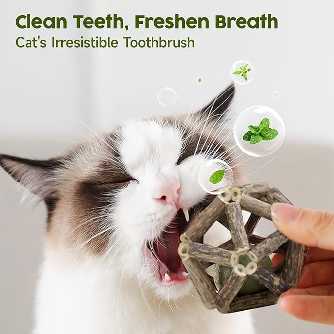 Potaroma Catnip Toys, 3Pcs Cat Toys Natural Silvervine Stick Cage Balls &amp; Bell Ball for Indoor Cats, Kitten Cleaning Teeth Molar Matatabi Cat Chew Toy All Breeds