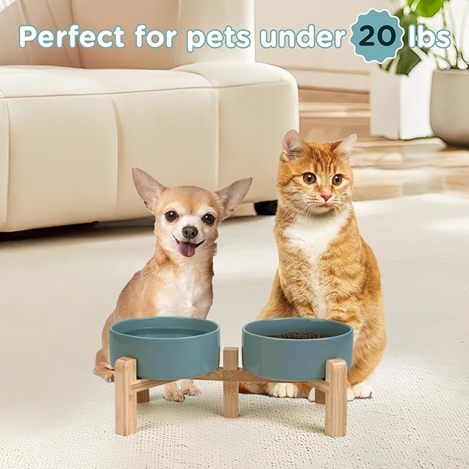 SPUNKYJUNKY Elevated Dog Bowls Ceramic, 5.1&