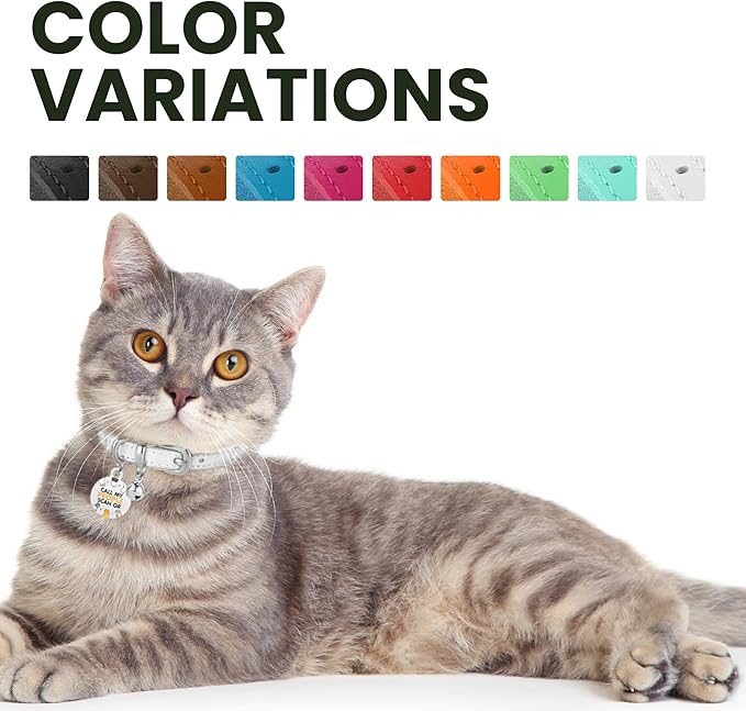 BRONZEDOG Leather Cat Collar with Removable Bells Non Breakaway Kitten QR Tag for Girl Boy (7" - 9" for Cats, White &amp; Silver)