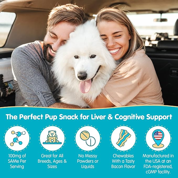 Wanderfound Pets Same 100 Liver Support for Dogs - Same S-Adenosyl-L-Methionine Hepatic Supplement for Liver &amp; Brain Support - Bacon Flavored Sam E, Manufactured in The USA - 30 Chewable Tablets