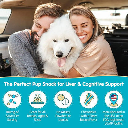 Wanderfound Pets Same 100 Liver Support for Dogs - Same S-Adenosyl-L-Methionine Hepatic Supplement for Liver &amp; Brain Support - Bacon Flavored Sam E, Manufactured in The USA - 30 Chewable Tablets