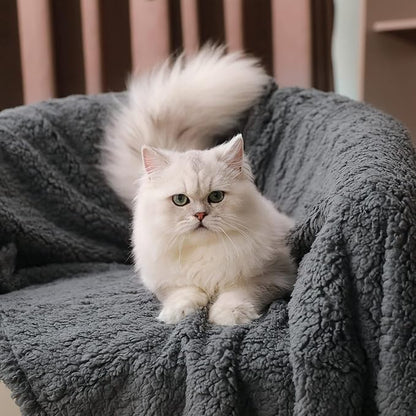 1 Pack 3 Calming Blankets Fluffy Premium Fleece Pet Blanket Soft Sherpa Throw for Dog Puppy Cat Grey Small (23" x16&