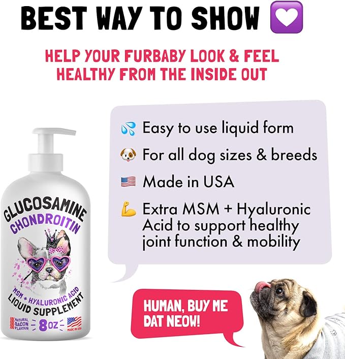 Liquid Glucosamine for Dogs Bacon Flavour with Chondroitin, MSM &amp; Hyaluronic Acid K9 Supplement Hip and Joint Formula Advanced Mobility Joint Pain Relief Senior Advanced Supplement for All Breeds