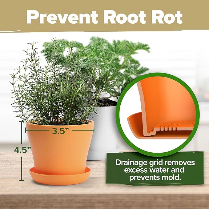 HOME GROWN 𝗣𝗥𝗘𝗠𝗜𝗨𝗠 𝗛𝗘𝗥𝗕 𝗞𝗜𝗧 8 Herb Seeds Garden Kit, Complete Indoor Planter Gift with Basil Cilantro Mint &amp; More, Unique Kitchen Growing Set for Women Men, Birthday Housewarming Present