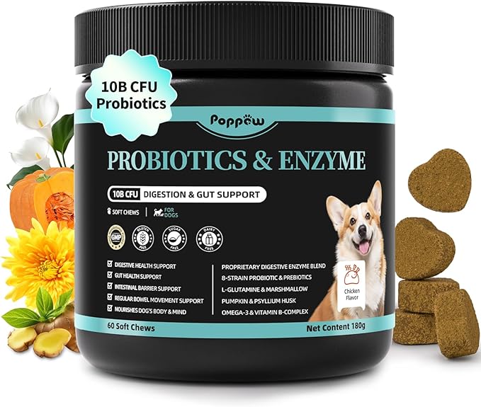 Probiotics for Dogs, Digestive Enzymes for Gut Health Support, Dog Fiber Supplement with Pumpkin for Diarrhea &amp; Bowel Support, Upset Stomach &amp; Gas Relief, Constipation - 60 Count Chicken Flavor