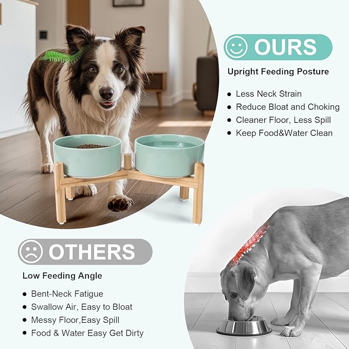 SPUNKYJUNKY Elevated Dog Bowls Ceramic, 7.3&