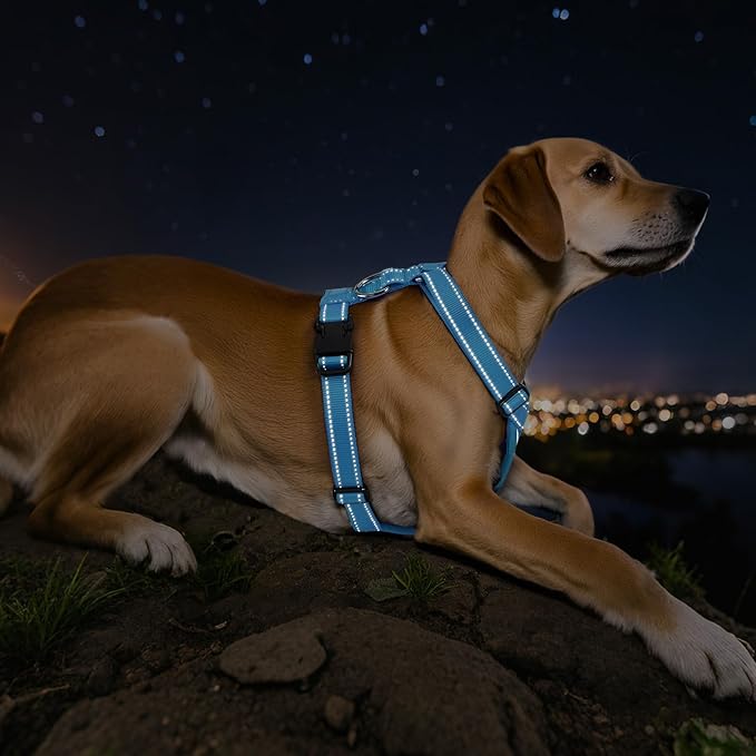 Dog Seat Belt Harness for Car, Dog Car Harness Adjustable Mesh Breathable &amp; Dogs Seatbelt Safety Tether with Elastic Bungee for Small Medium Large Pets(Blue, L)