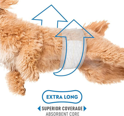 Paw Inspired Select Fit Male Dog Diapers, Disposable Male Wraps with Wetness Indicator| Belly Bands for Small, Medium, Large Dogs (X-Large, 20 Count)