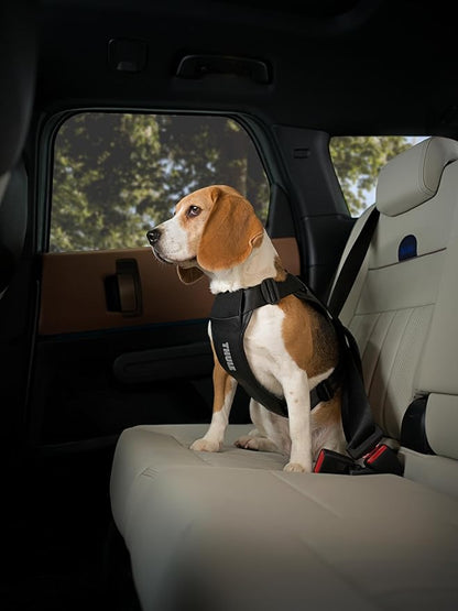Thule Cappy Dog Harness L - Crash-Tested for Safety - Seatbelt passthrough - Adjustable &amp; Easy to Clean - Padded Breathable mesh Panels - Leash Loop - Step-in Design