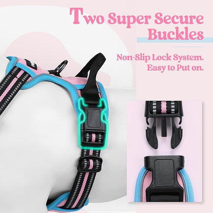 rabbitgoo Dog Harness No Pull with 2 Leash Clips, Adjustable Soft Padded, Reflective Oxford No Choke Pet Vest with Easy Control Handle for Medium Sized Dogs, Pink &amp; Blue, M