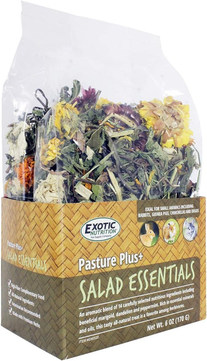 Pasture Plus+ Salad Essentials - Healthy Natural High-Fiber Dried Flower &amp; Herb Treat - Squirrels, Guinea Pigs, Rabbits, Chinchillas, Prairie Dogs, Degus, Hamsters, Gerbils &amp; Other Small Pets