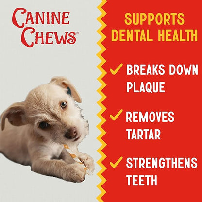 Canine Chews Chicken-Wrapped Rawhide Twists for Dogs - Pack of 100 U.S.A. Sourced Chicken Wrapped Rawhide Dog Treats, Sticks for Dogs - Premium &amp; Natural Beefhide Chews
