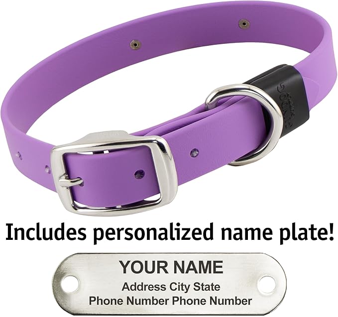 Biothane Custom Dog Collar – Waterproof, Stink-Proof Personalized Collar with Name &amp; Phone Number – Durable, Many Sizes and Colors – Assembled in USA (Amethyst Purple)