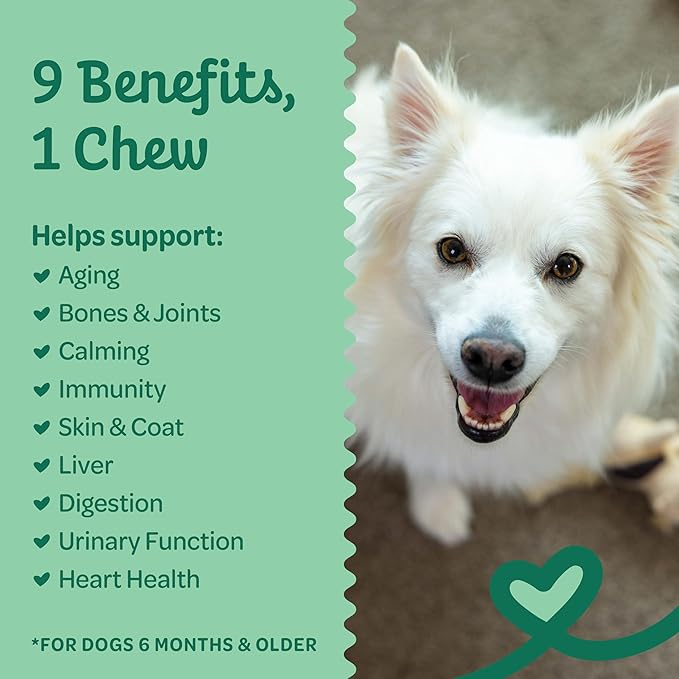 Wholesome Pride 9-in-1 Dog Multifunctional Soft Chews – Joint Pain Relief, Hip &amp; Joint Support, Immune, Skin, Gut, Heart, Brain Health – Glucosamine, MSM, Chondroitin – 90 Chews