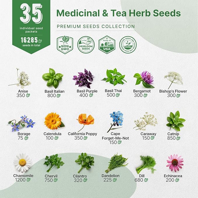 35 Medicinal &amp; Tea Herb Seeds Variety Pack for Indoor &amp; Outdoors. 16,335+ Non-GMO Heirloom Garden Seeds: Anise, Bergamot, Borage, Cilantro, Chamomile, Dandelion, Rosemary Seeds &amp; More