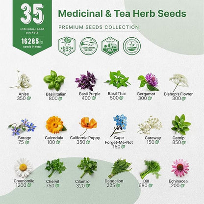 35 Medicinal &amp; Tea Herb Seeds Variety Pack for Indoor &amp; Outdoors. 16,335+ Non-GMO Heirloom Garden Seeds: Anise, Bergamot, Borage, Cilantro, Chamomile, Dandelion, Rosemary Seeds &amp; More