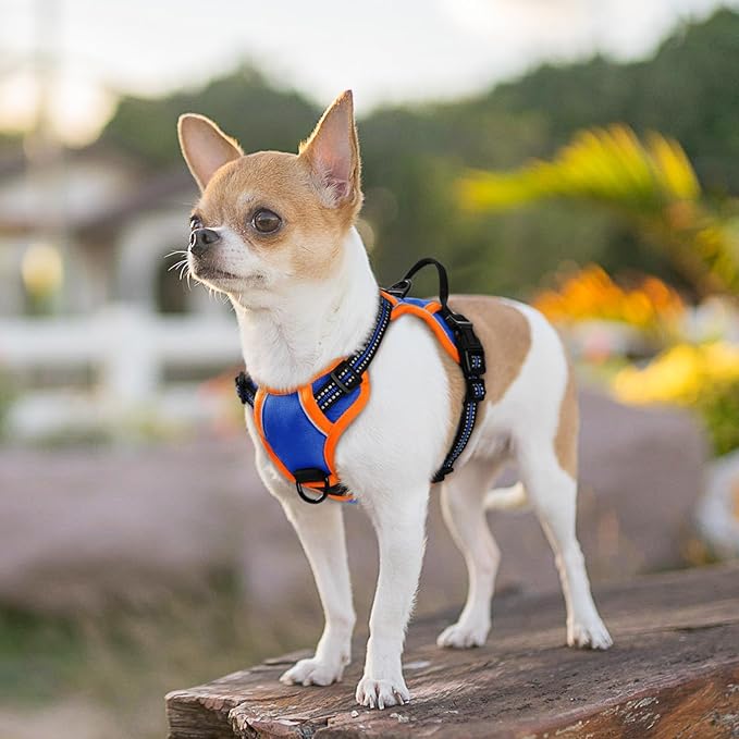 Eagloo Small Dog Harness No Pull, Service Vest with Reflective Strips and Control Handle, Adjustable and Comfortable for Walking, No Choke Pet Harness with 2 Metal Rings, Blue &amp; Orange, XS