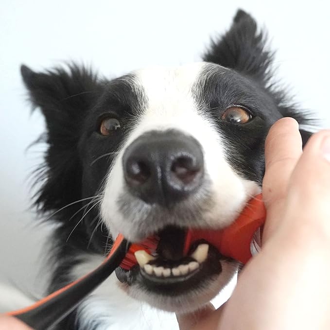 Pet Toothbrushing Assistant for Puppies&